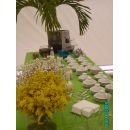 Crosman eventos