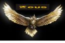Zeus - video vida e decoração