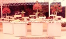 Toke´Special Eventos() -