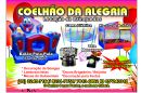 Coelhao Da Alegria