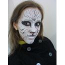 camarim de pintura facial para festas e Maquiagem