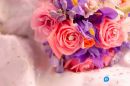 Acacia Decorações e Eventos