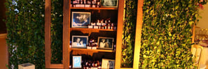 5 <b><b>Dica</b>s</b> para <b>Usar</b> decoração de madeira em eventos