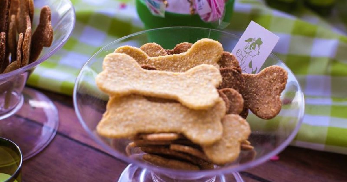 Temas de eventos incríveis: festa para pets