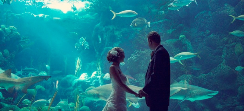 Ideias para eventos: casamento na &aacute;gua
