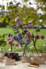 <b>Decoração</b> de <b>Casamento</b> com Flores