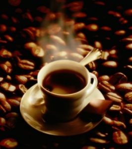 cafe.jpg cafe.jpg