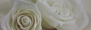 <b><b>Bolo</b>s</b> <b><b>Decorado</b>s</b> com flores gum paste