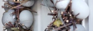 A Páscoa está chegando: três <b><b>Dica</b>s</b> para você <b>Decorar</b> a sua casa