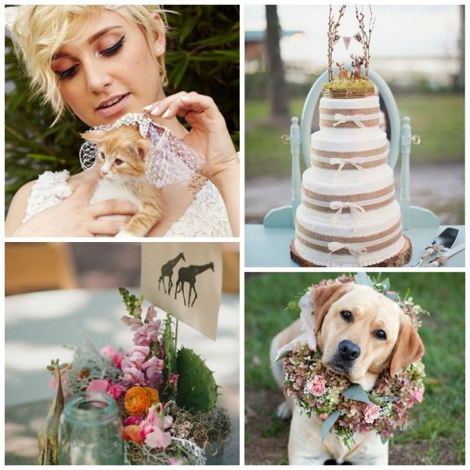 casamento-animais casamento-animais