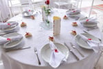 Como <b>Escolher</b> a cor da festa