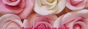 O Significado das Cores e <b><b>Flor</b>es</b> na Decoração