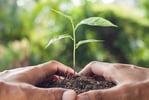 12 dicas para <b>Realizar</b> evento mais sustentável
