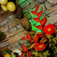 CANTINHO TROPICAL
