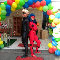 ANIMAÇÃO DE FESTA Ladybug KAT NOIR