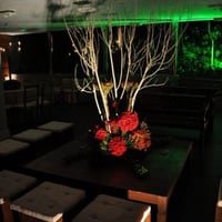 Festa Espaço Mariângela