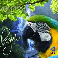 Capa convite de luxo personalizado