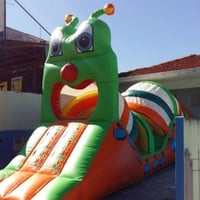 Centopeia gigante
