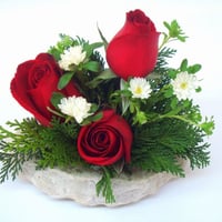 Rosas com carinho.R$39,00