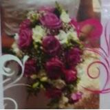 alilazeventos