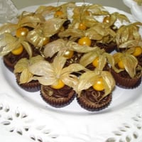 TRUFADINHO PHYSALIS