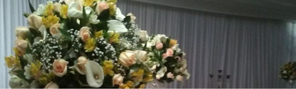 America Eventos & Organização