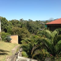 Jardim