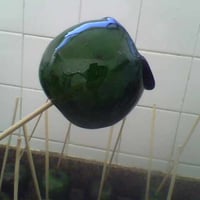 Maçã do amor verde!!