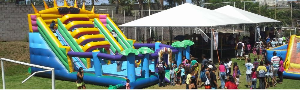 Animada Festa Eventos