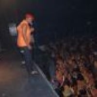 Shows1