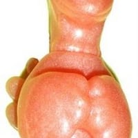 Cocoricó