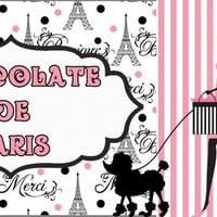 Tema Paris 1