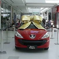 LAÇOS PARA CARRO