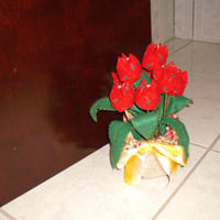 peso de porta