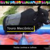 Touro mecânico e monitoria