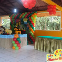 FESTA FAZENDINHA