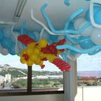 Festa nas núvens