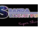 bandastacatto