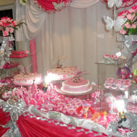 15 Anos Rosa