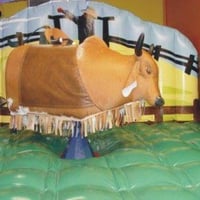 TOURO MECÂNICO