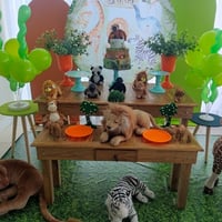 Temos decoração, safari e també locamos animais realista.