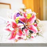belleriocerimonialeeventos