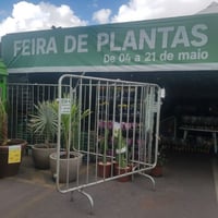grade alta