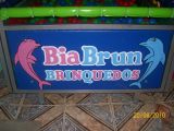 biabrunbrinquedos