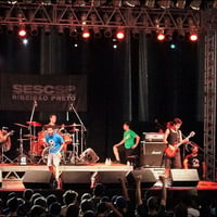 shows