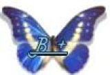bmais
