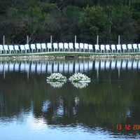 http://bomconselhoeventos.com.br/