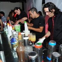 Bortolozzi Bartenders