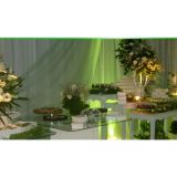 buffetartsfestas
