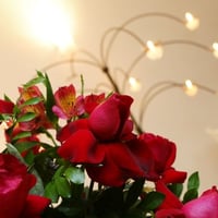 arvores de ferro com velas